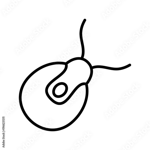 Chlamydomonas cell icon. Science and microbiology line symbol. Black and white.