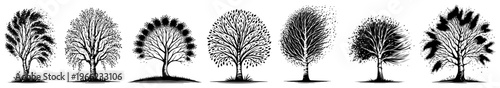 Tree silhouette collection, variety of deciduous and winter trees set, nature landscape design elements vector