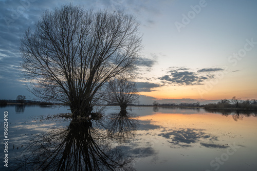 Flooded landscape with trees and ripples on water at sunset, Bzura valley