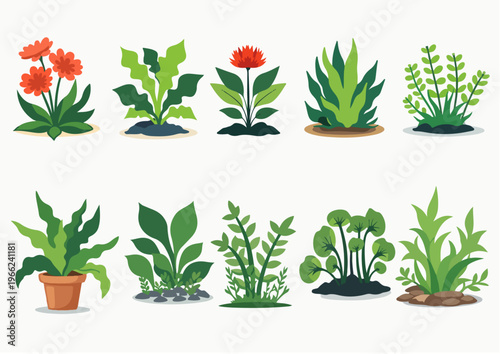 Flat vector plant collection with 10 botanical elements, green garden foliage and blooming flowers set, organic houseplant icons for landscape design and nature illustrations