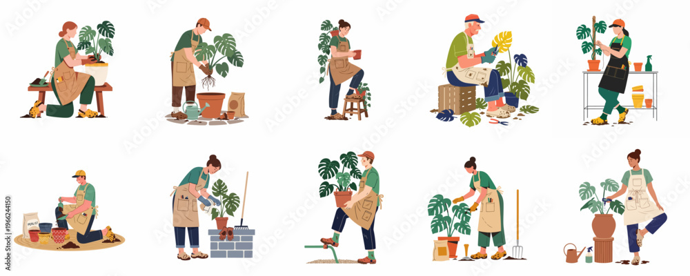 Naklejka premium Collection of diverse people caring for Monstera houseplants through activities like potting, pruning, and watering in a clean flat vector illustration style.