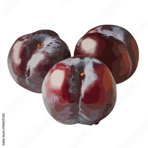 A vibrant still life arrangement of polished red and purple gemstones isolated on white background, Vector