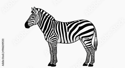 A zebra showcasing its striking black and white stripes, standing in a poised stance. The image captures the essence of this majestic animal
