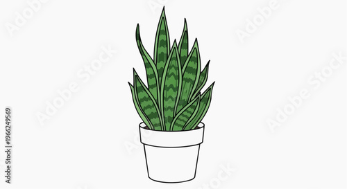 A detailed illustration of a snake plant in a decorative pot