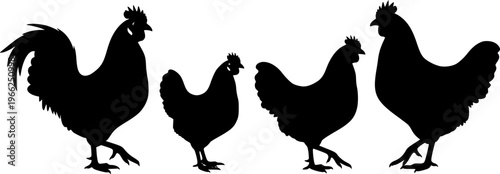 chicken silhouettes
