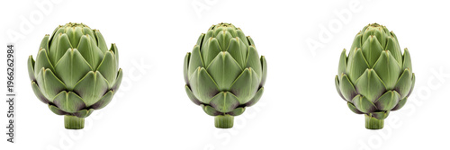 Artichoke (Cynara cardunculus var. scolymus) whole green globe vegetable isolated on white background, edible flower bud produce