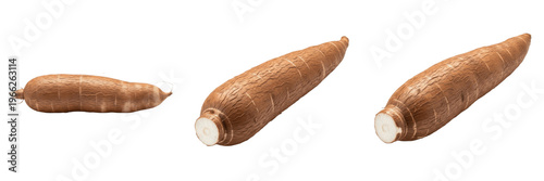 Quadro su tela Cassava root (Manihot esculenta) long brown tuber vegetable isolated on white ba