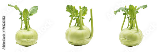 Tableau sur toile Kohlrabi (Brassica oleracea var