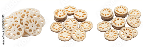 Lotus root slices (Nelumbo nucifera) cross-section aquatic rhizome vegetable isolated on white background, fresh lotus root produce