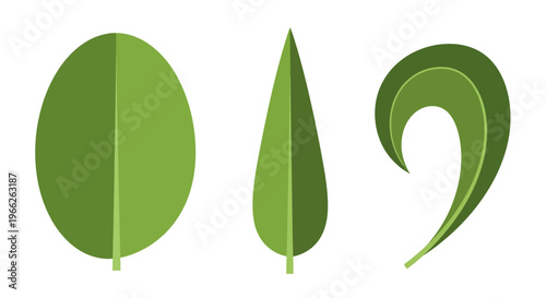 Collection of Three Different Green Leaf Shapes in Flat Vector Style.