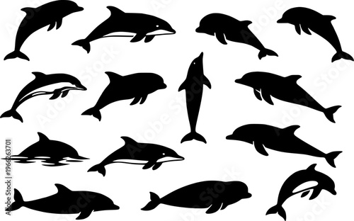 Dolphin species collection silhouette vector illustration