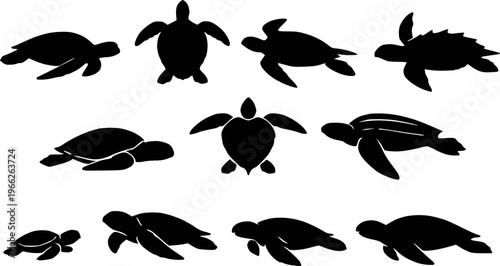 Sea turtle species collection silhouette vector illustration