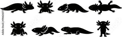 Axolotl poses collection silhouette vector illustration