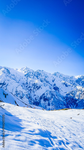 日本の雪山