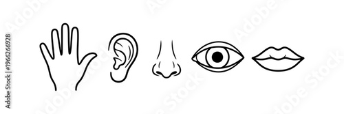 Human Five Senses Line Icon Set with Eye Ear Nose Hand Mouth design