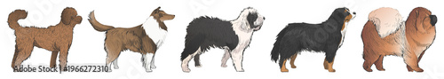 Foto Illustrated diverse dog breeds lineup element set