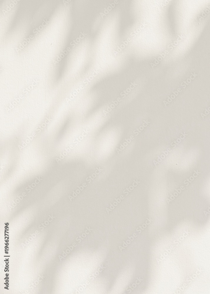 Obraz premium Leaf shadow cement texture background