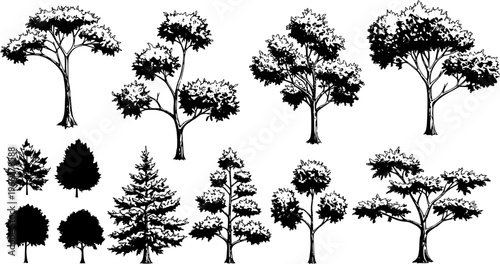 Diverse collection of hand-drawn tree illustrations and detailed silhouettes, featuring various species and shapes for nature, landscape, and design projects.