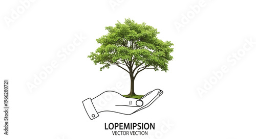 Hand holding a small green tree.