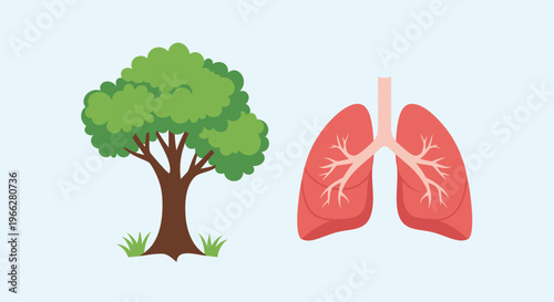 Human lungs and tree illustration.