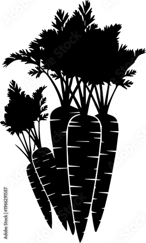 Freshly harvested carrots with vibrant green tops create a healthy, natural, and wholesome food concept for your projects.