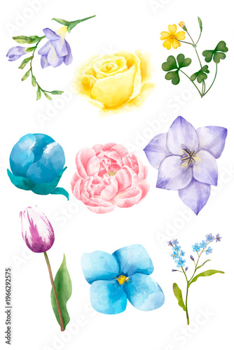 Blooming flowers png sticker botanical collection