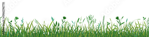 Drawn grass isolated on white background, seamless border, vector design