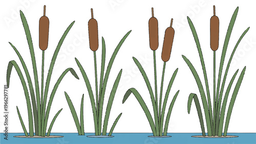 cartoon cattails growing in water with green leaves and brown seed heads