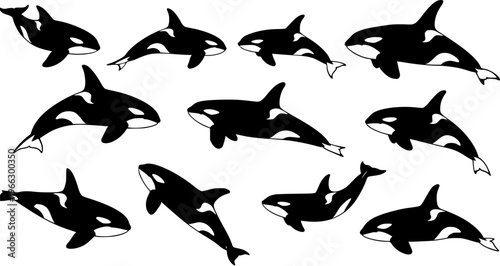 Collection of various black and white killer whale (orca) silhouettes swimming, featuring marine wildlife in a playful cartoon illustration style on a white background.