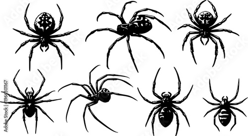 Spiders: Detailed Vector Illustration of Various Black Spiders