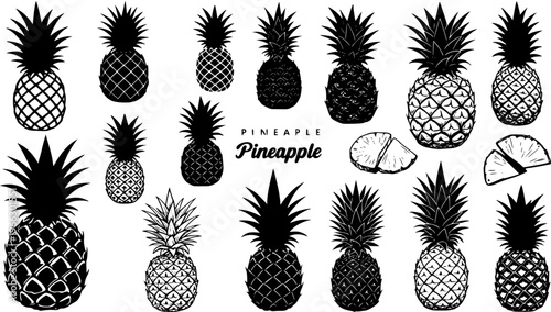 Collection of black and white pineapple illustrations featuring various whole and sliced fruit designs, vector set of tropical Ananas comosus with different patterns and textures.