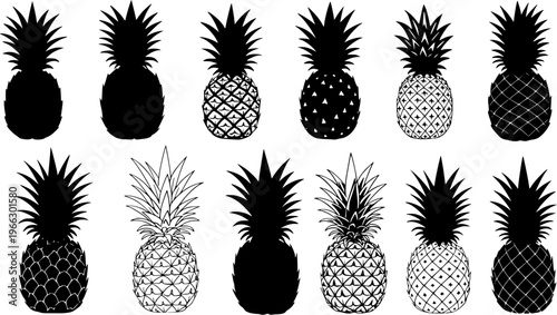 Collection of 12 Pineapple Illustrations: Black Silhouettes and Patterned Designs. Tropical Fruit Vector Set for Summer.
