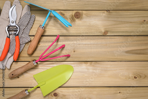 Tools for gardening on wooden background
