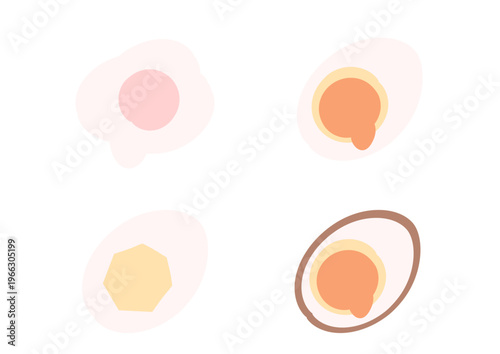4種類のゆで卵のイラスト