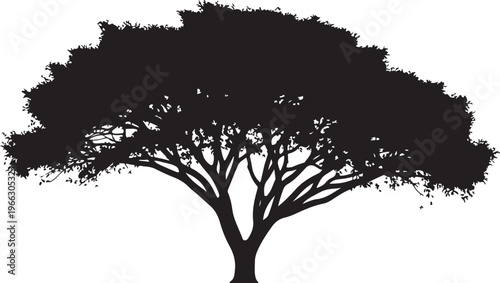 Silhouette of a large tree on a white background