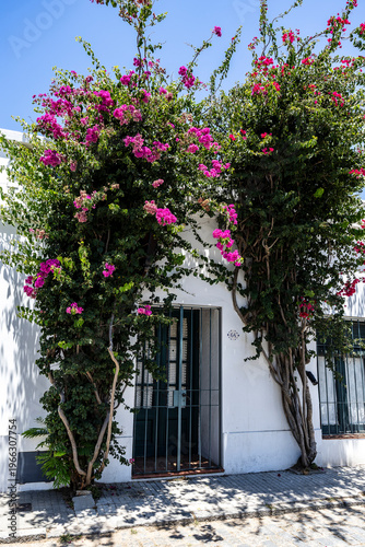 Facade of house in historic quarter of Colonia del Sacramento, Uruguay