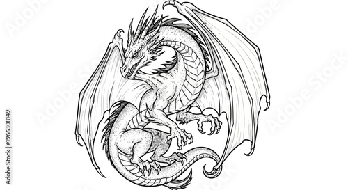 Detailed dragon illustration with wings and scales in black and white