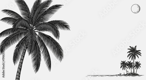 Monochrome palm tree illustration on white background with moon and island