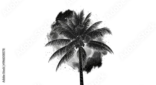 Black and white palm tree silhouette against a smoky abstract background