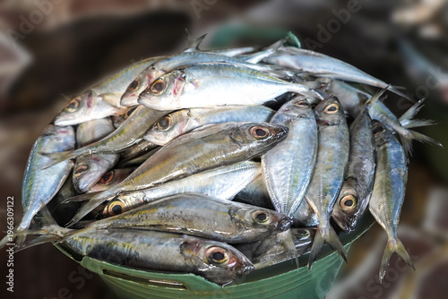 Wallpaper Mural Close-up shot of a green basket filled with numerous small silver fish with yellow fins and big eyes on a blurred brown background. Torontodigital.ca