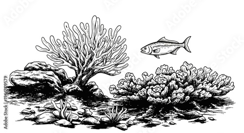 Underwater scene illustration coral fish and aquatic life in black and white
