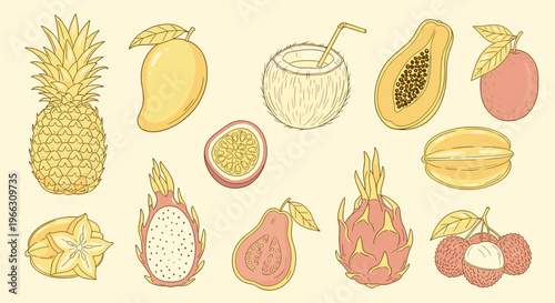 Vibrant Tropical Fruits Collection: Exotic Papaya Mango Dragon Fruit and Pineapple