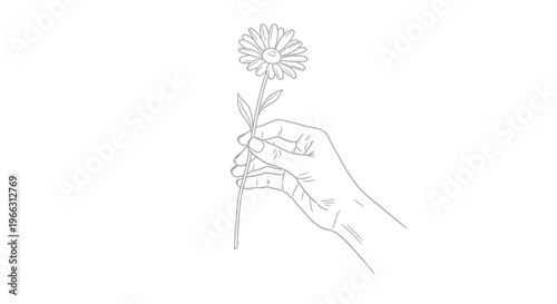 Minimalist line art drawing of a human hand delicately holding a single daisy flower, simple floral illustration.