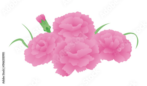 カーネーション（ブーケ）ピンク