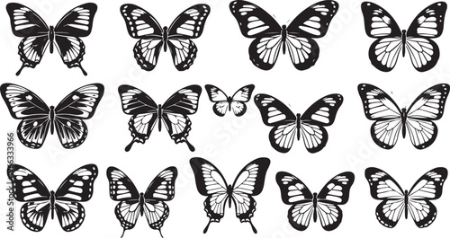 Black and white butterflies illustration on clean white background