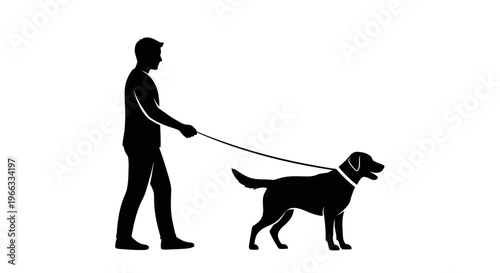 Man walking a dog on a leash, silhouette, outdoor activity, companionship