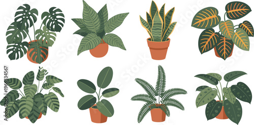 Flat vector collection of various tropical indoor houseplants in terracotta pots featuring monstera, snake plant, and ferns for modern interior design, home gardening, and lifestyle decor projects.
