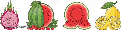 Exotic fruit collection with dragon fruit, watermelon and lemon slices fresh tropical vector illustration set