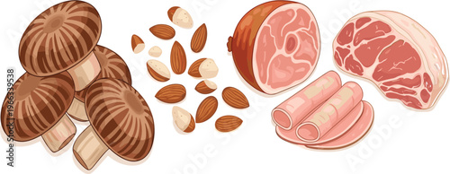 Food ingredients collection with mushrooms, almonds, ham and sliced meat detailed realistic vector illustration set