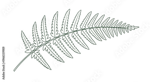 Obraz na plátně Elegant Fern Leaf Line Art Illustration - Botanical Outline Drawing